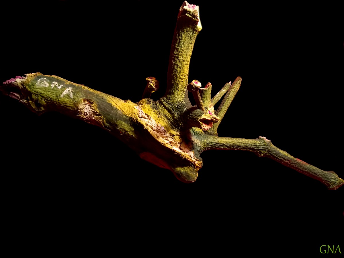 DSC 0353