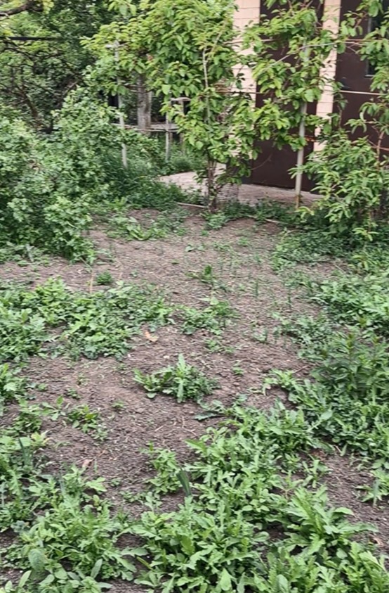 2025 05 26 024751