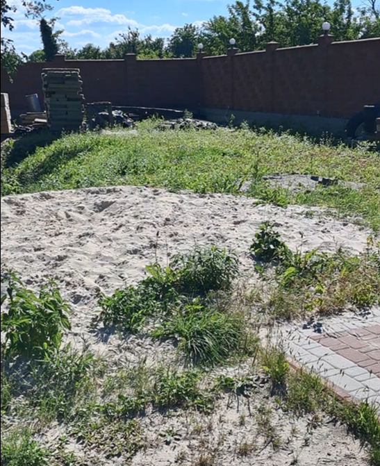 2024 07 05 232606