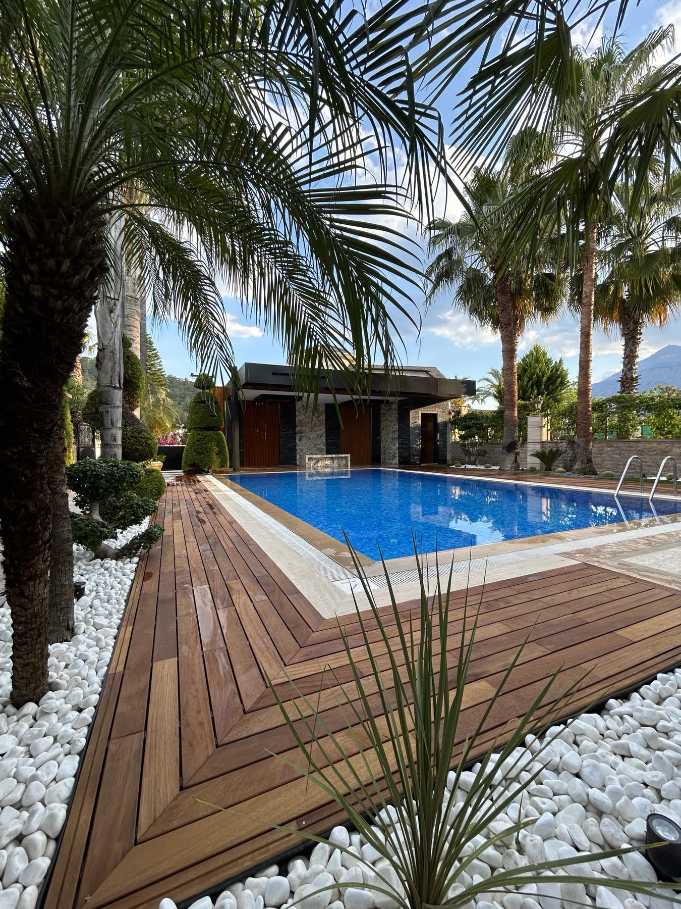 Landscape design near swimmingpool
