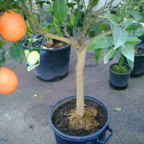 290120121862.jpg