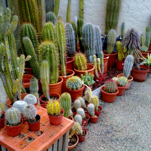 290120121863.jpg