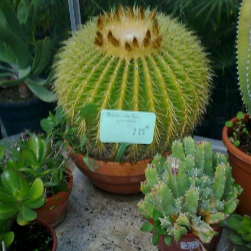290120121868.jpg