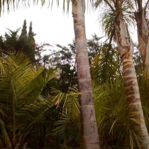 290120121881.jpg