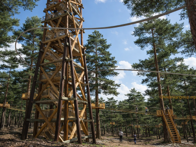 Мотузкова переправа, башня та zip-line / тролей 