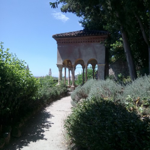 DSC_2904.jpg