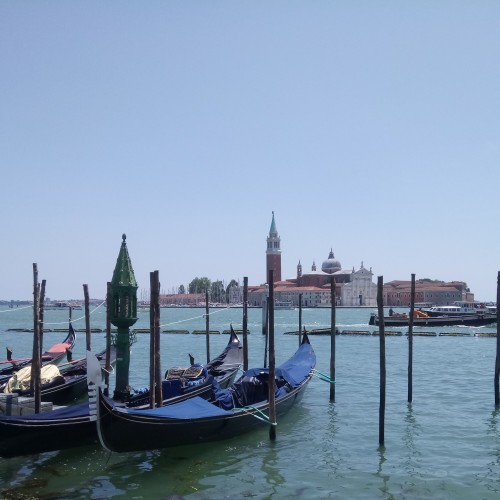 DSC_3128.jpg