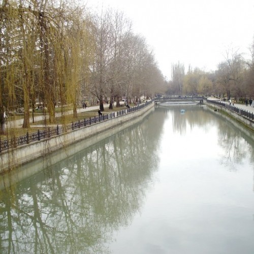 p1300003.jpg